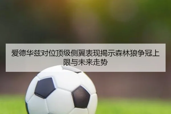 爱德华兹对位顶级侧翼表现揭示森林狼争冠上限与未来走势